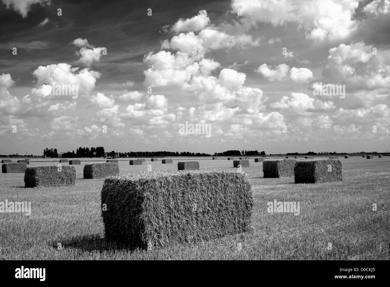 Straw bales square Black and White Stock Photos & Images Alamy