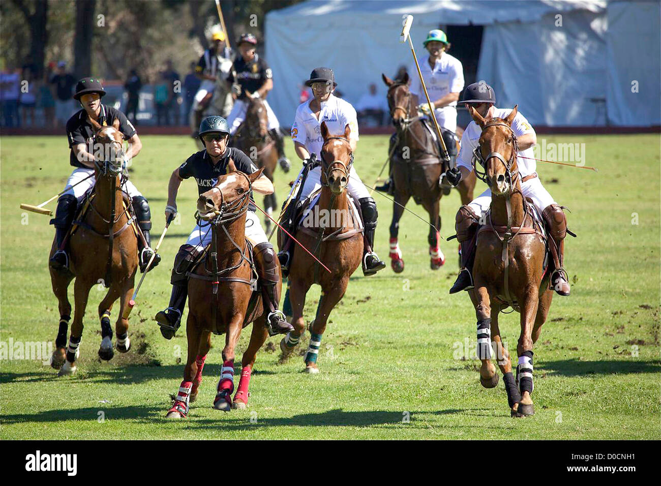 Polo model Nacho Figueras and his Black Watch team play at the 1st Annual Veuve Clicquot Polo Classic held at the Will Rogers Stock Photo