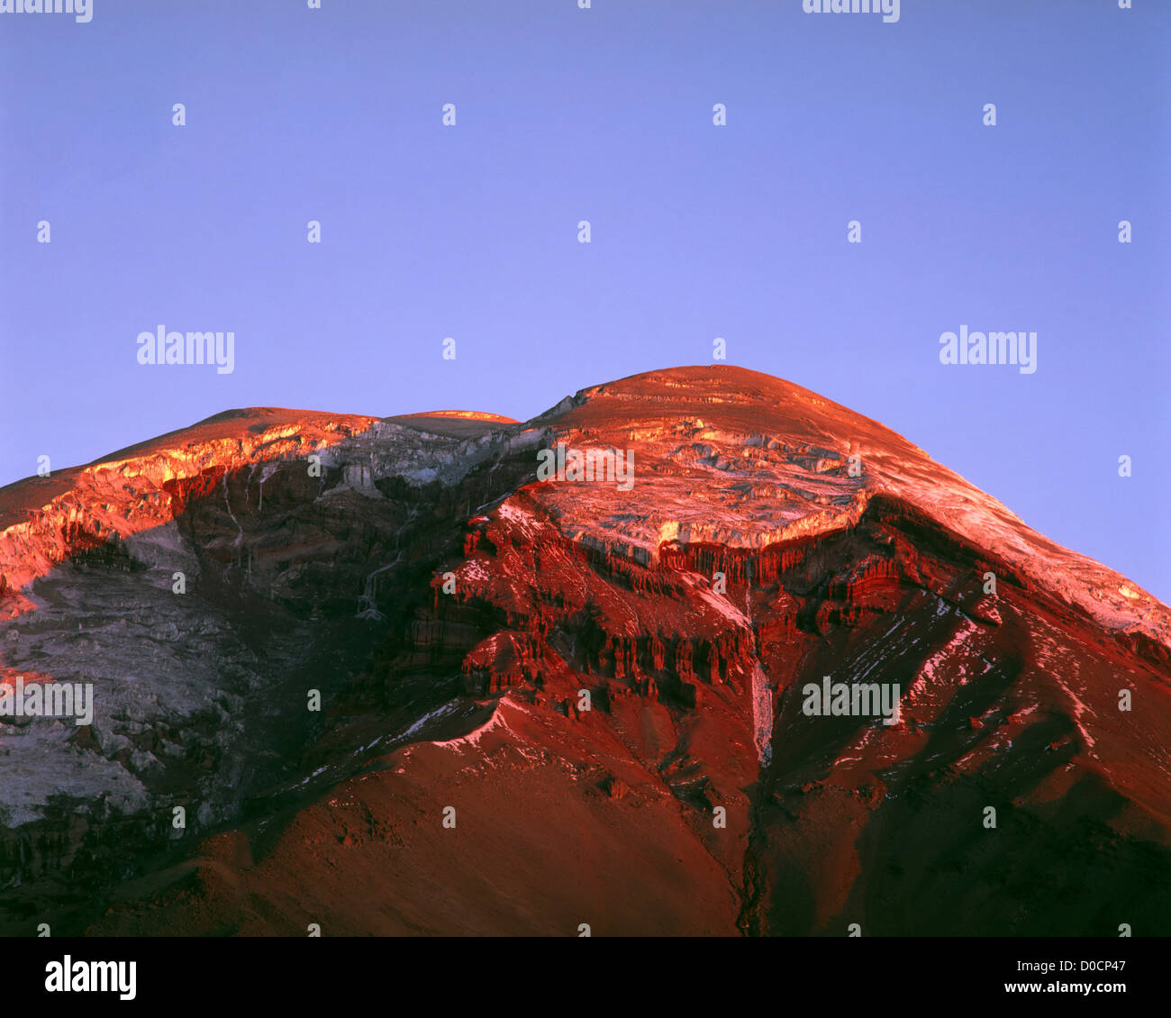 My Image 6