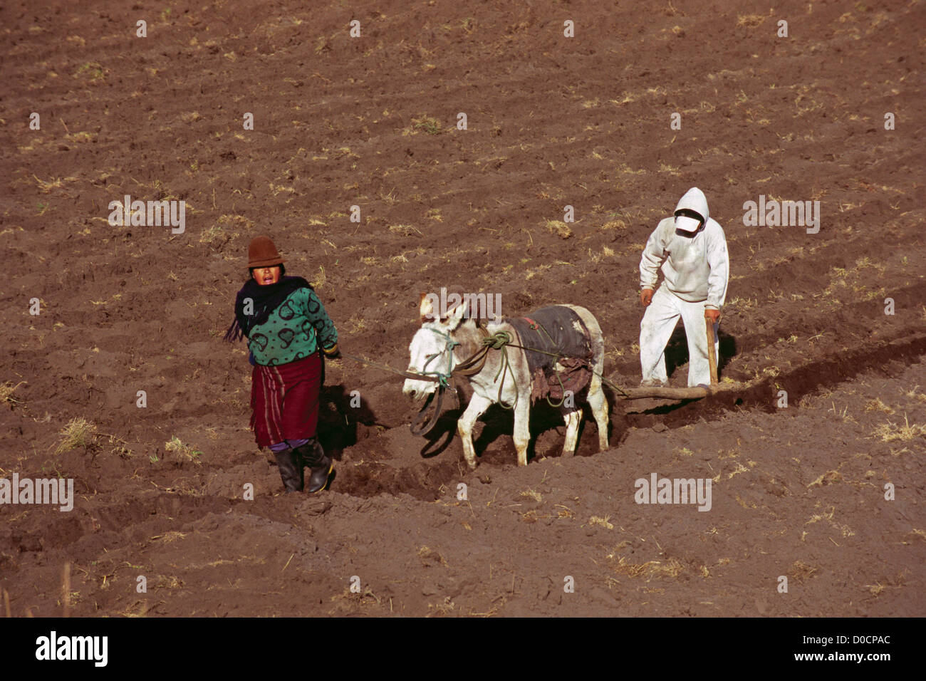 Field people plowing hi-res stock photography and images - Alamy
