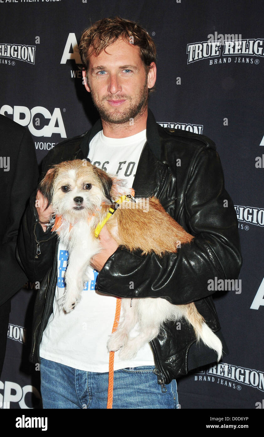 Josh Lucas at the 2010 ASPCA Young Friends Benefit at The IAC Building New York City, USA - 14.10.10  Patricia Stock Photo