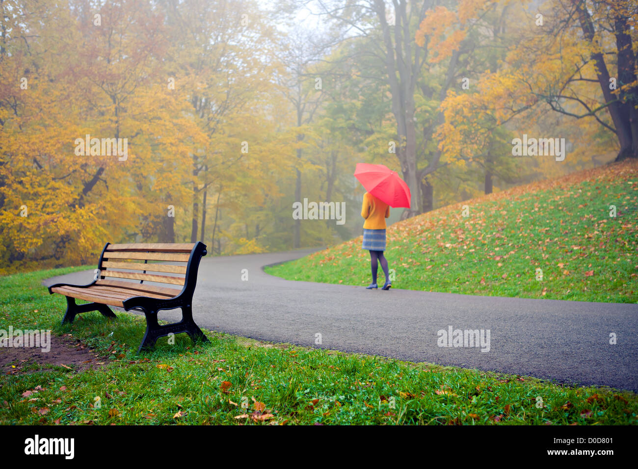 Old park in fall. Germany, Europe Stock Photo