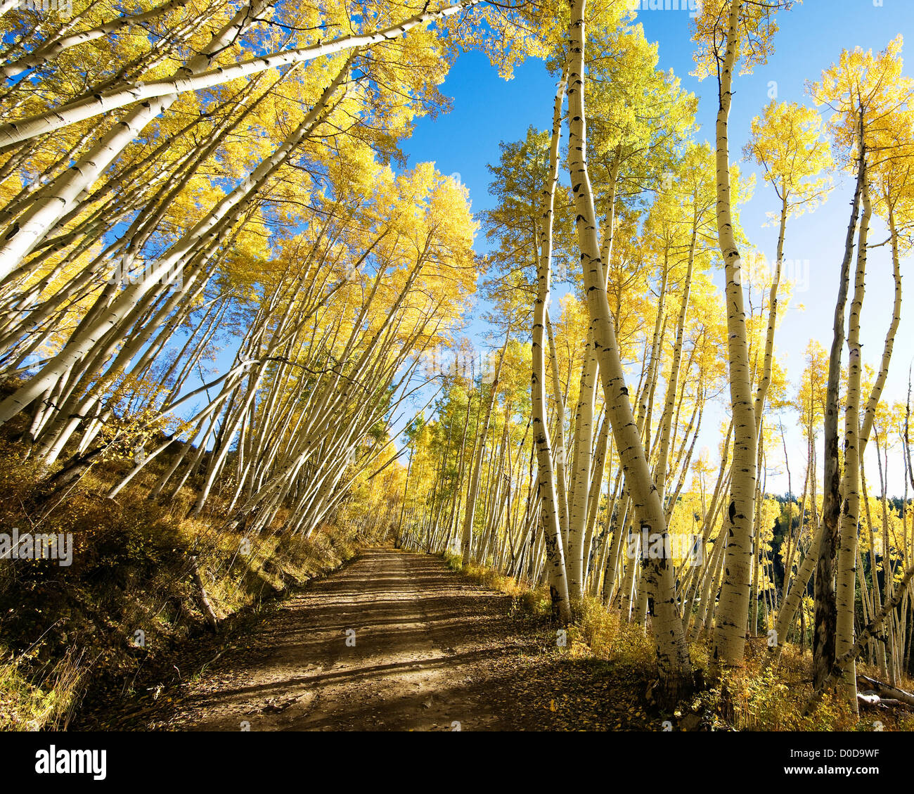 Last Dollar Road Stock Photo Alamy