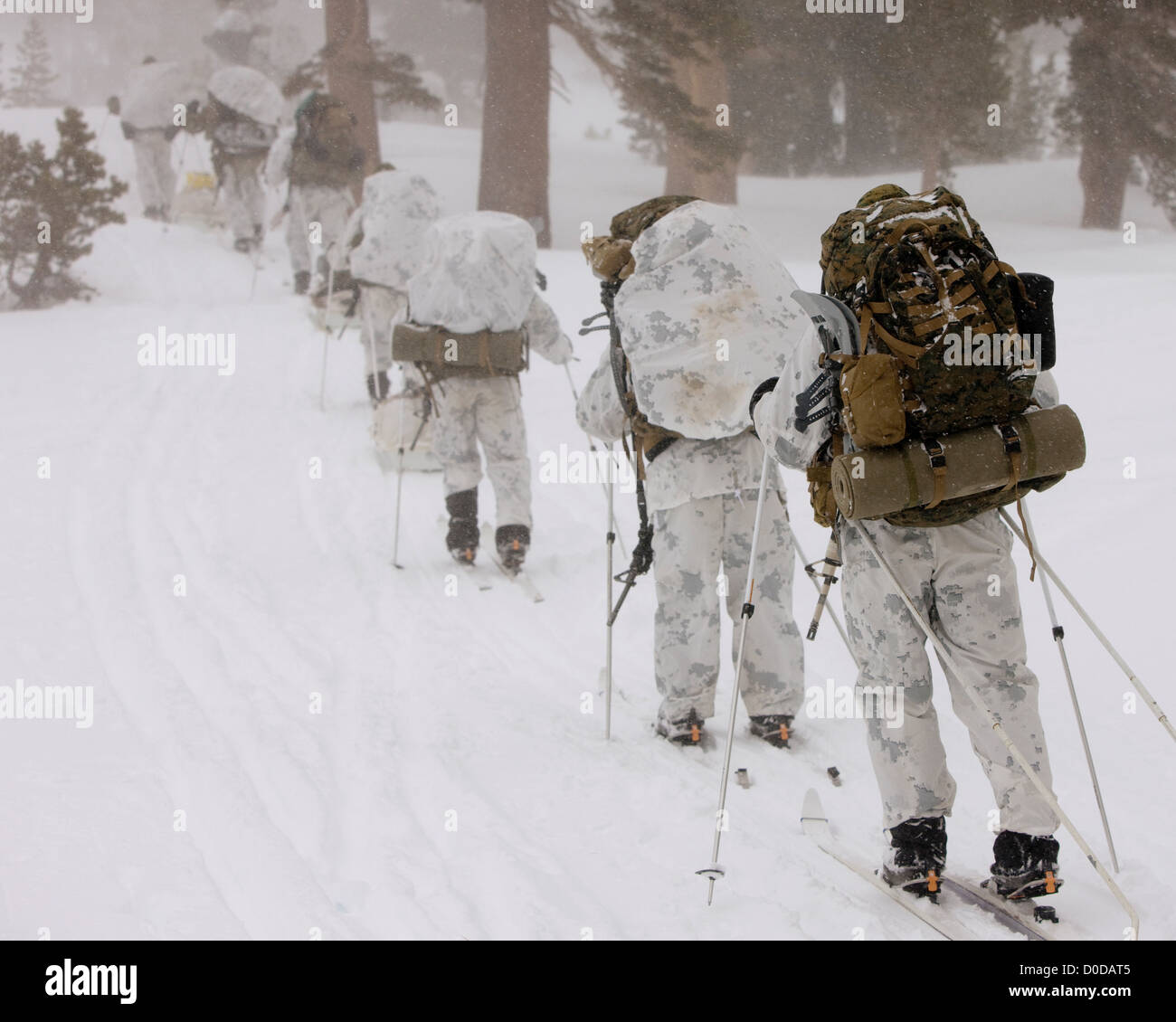 U.S. Marines Ski Through a Blizzard Stock Photo