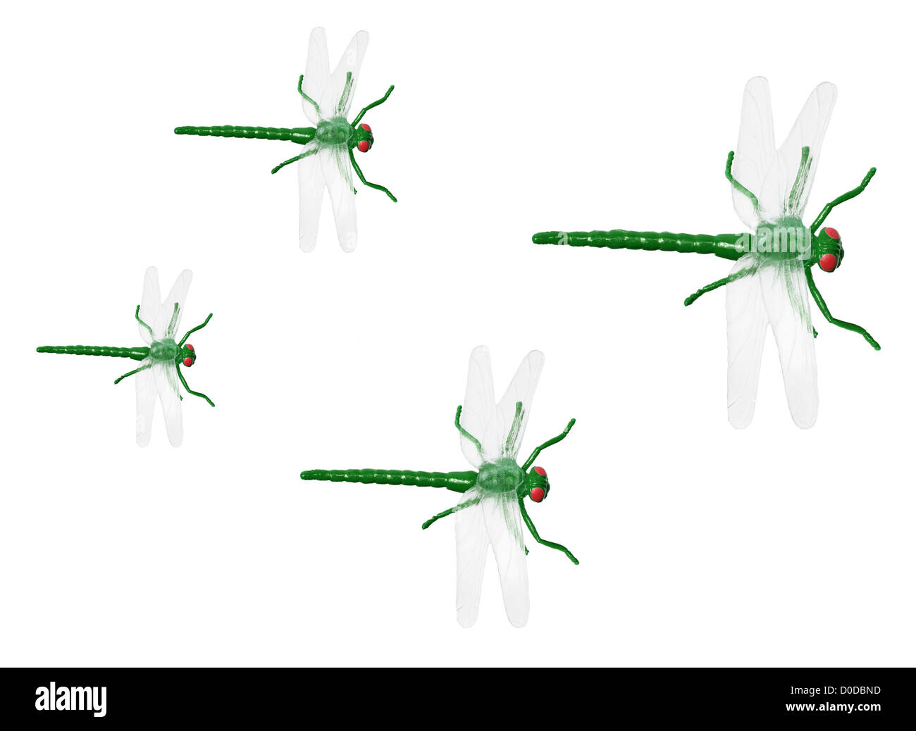 Damselflies And Dragonflies High Resolution Stock Photography and ...