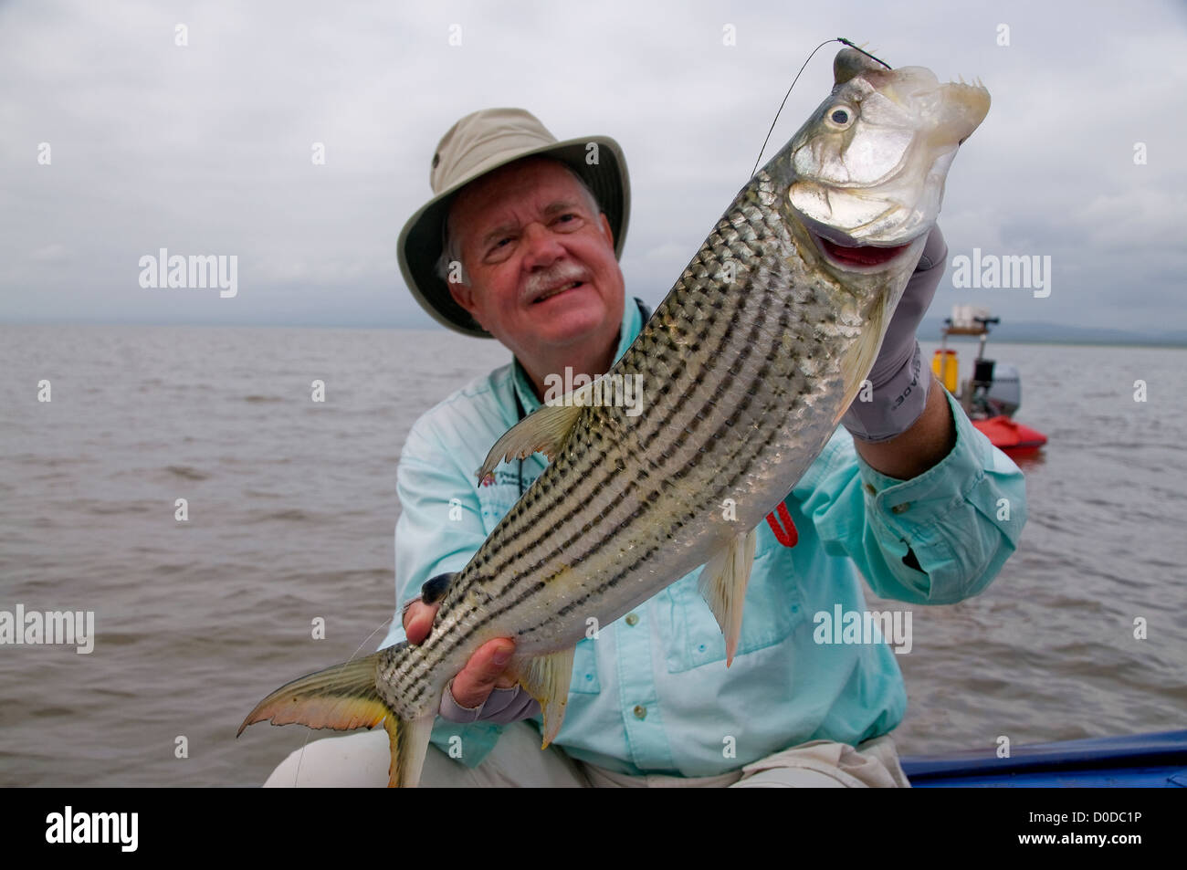 An angler show off teeth of a tiger fish caught on a bait in Lake Jozini on Phongolo GR, KwaZulu Natal, South Africa. Stock Photo