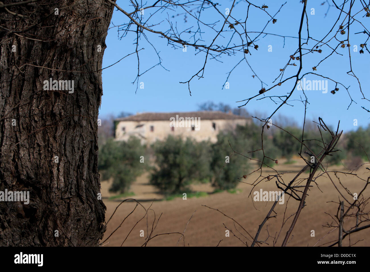 Italian countryside home Stock Photo Alamy