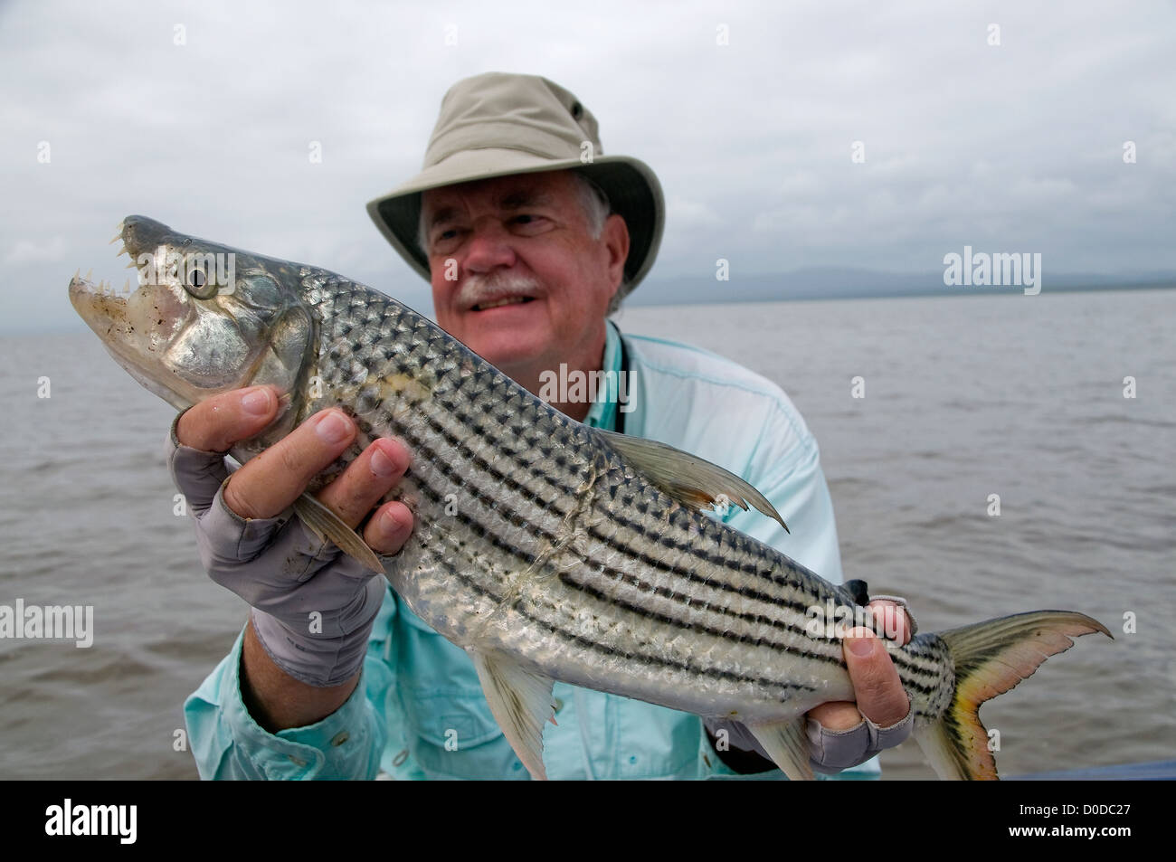 An angler show off a tiger fish caught on a bait in Lake Jozini on Phongolo GR, KwaZulu Natal, South Africa. Stock Photo