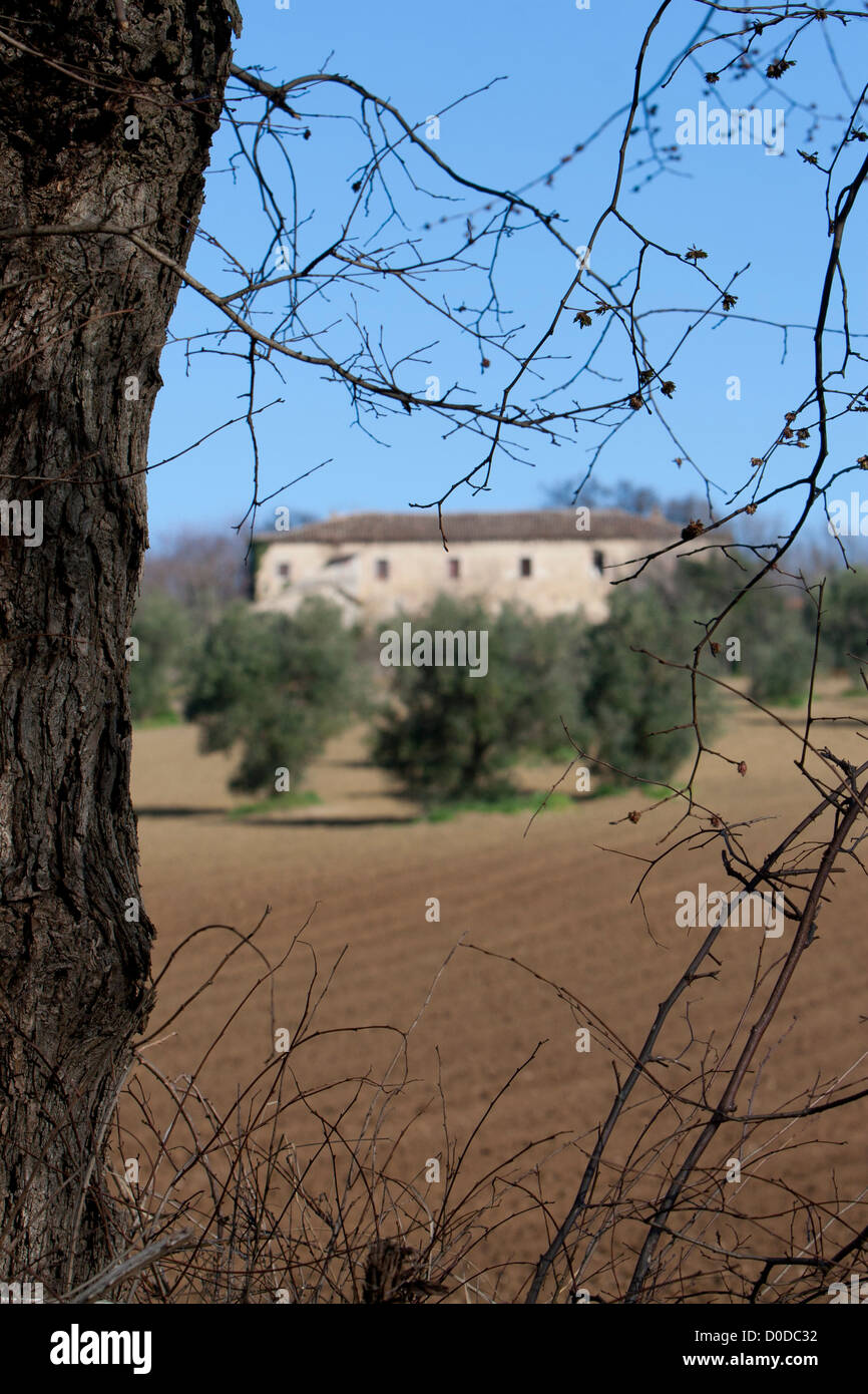 Italian countryside home Stock Photo Alamy