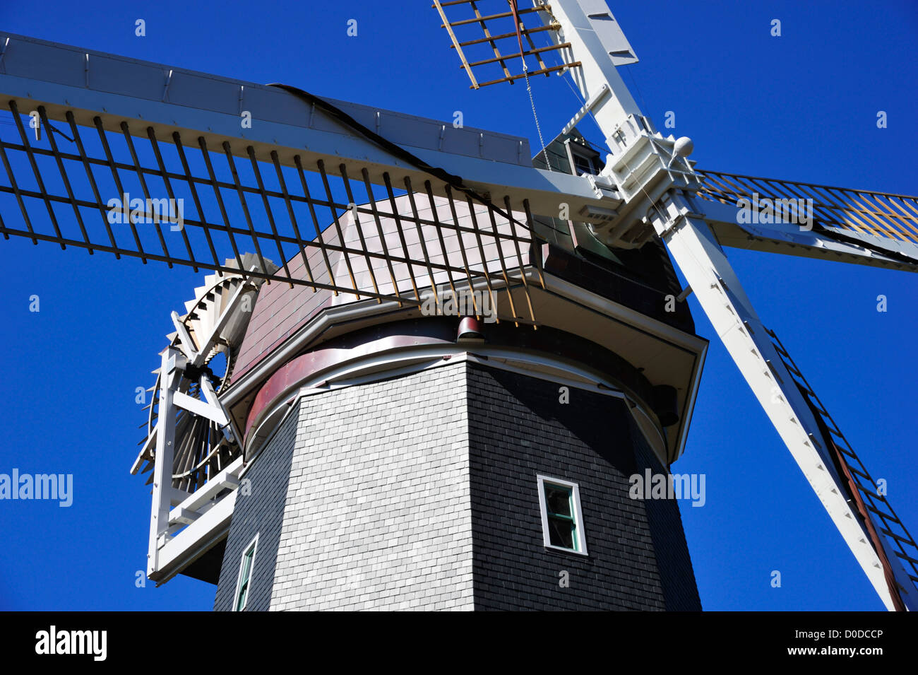 Murphy Windmill at Golden Gate Park, San Francisco CA Stock Photo - Alamy