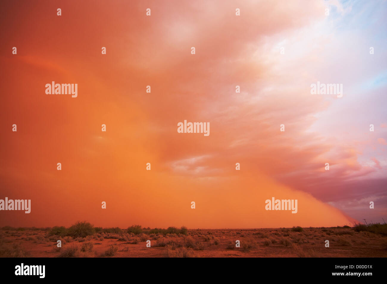 A dust storm in desert near Eloy Arizona dusk. Dust storms form leading