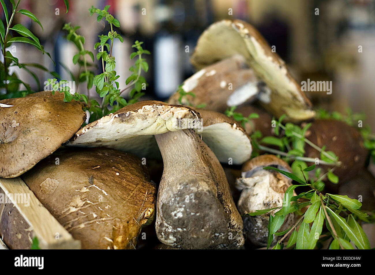 Aromatic mushroom hires stock photography and images Alamy