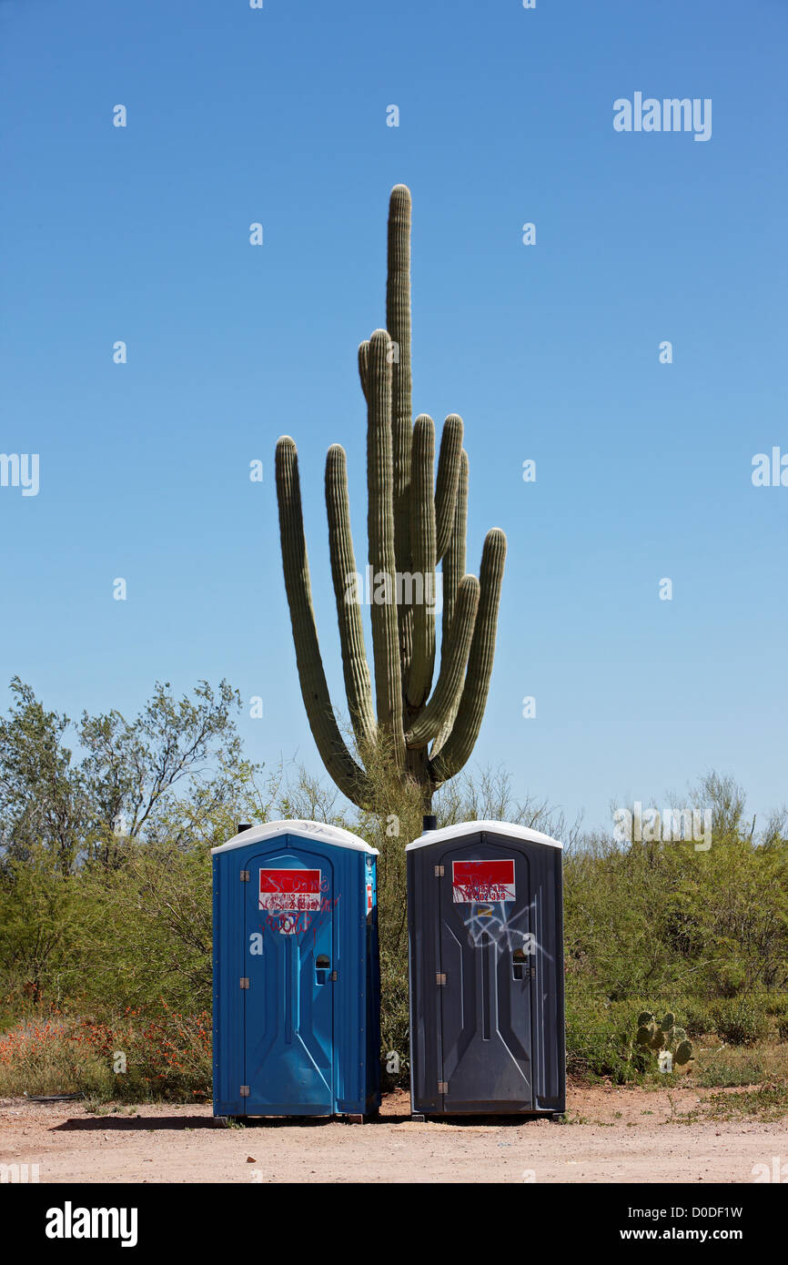 A saguaro cactus (Carnegiea gigantea) framed by two portable toilets, near the town of Why in southern Arizona. Stock Photo
