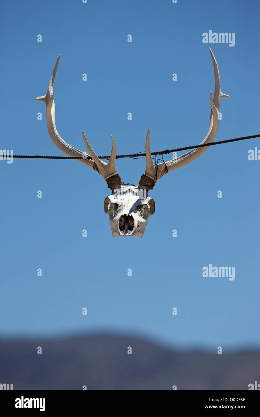 A deer skull and antlers hanging over the entrance to a ranch near Big ...