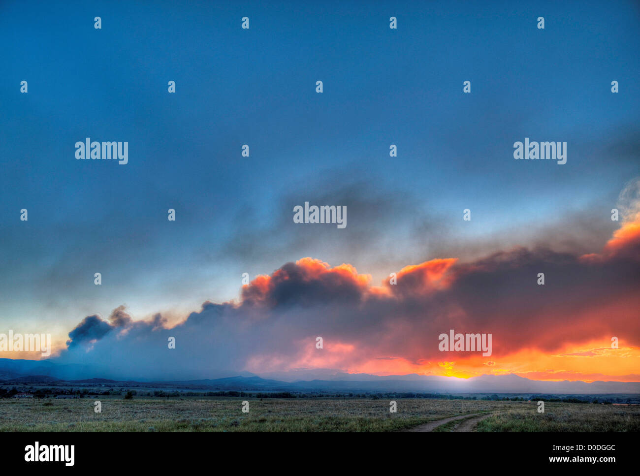 Plume of smoke rises from raging mountain wildfire, Colorado, USA Stock Photo