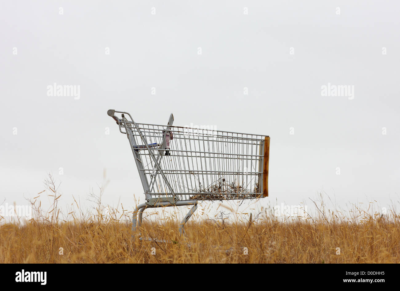 Shopping cart on plains, Colorado Stock Photo Alamy