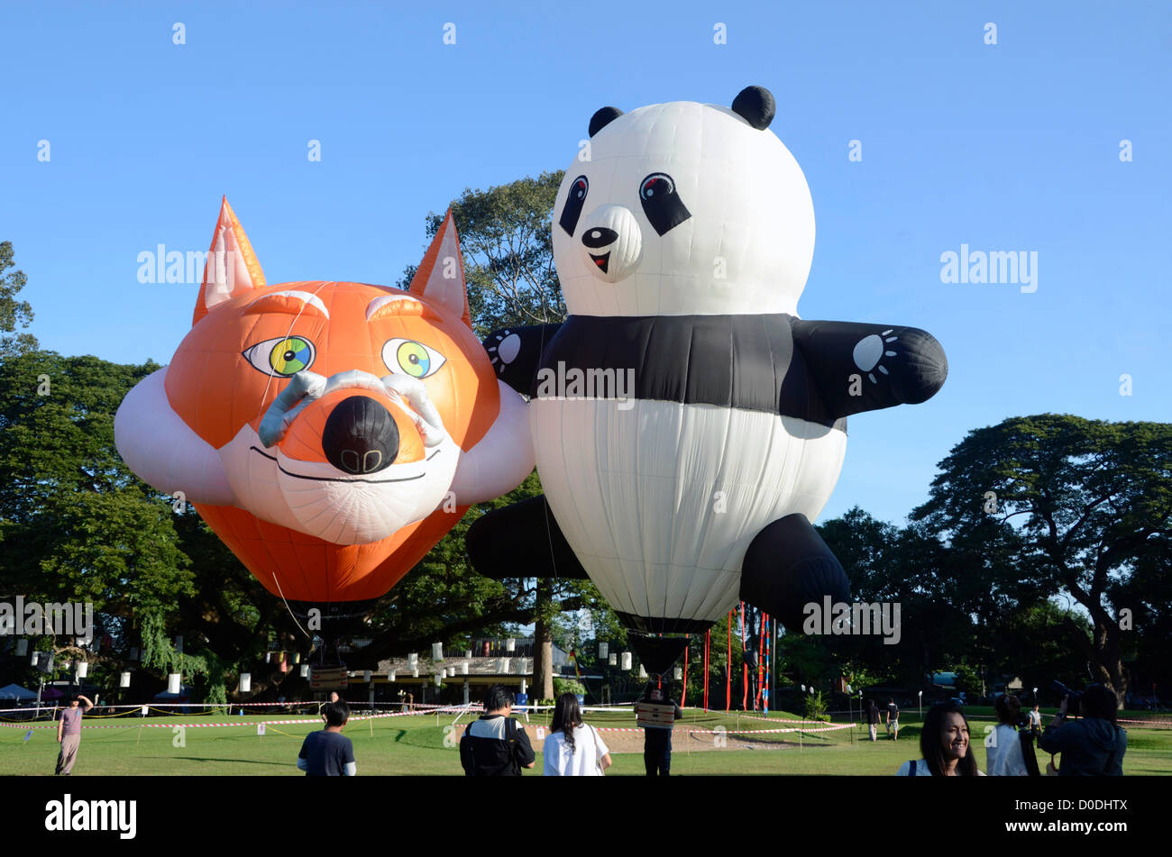 Panda and fox hot air balloons in Chiang Mai,Thailand . The event is ...