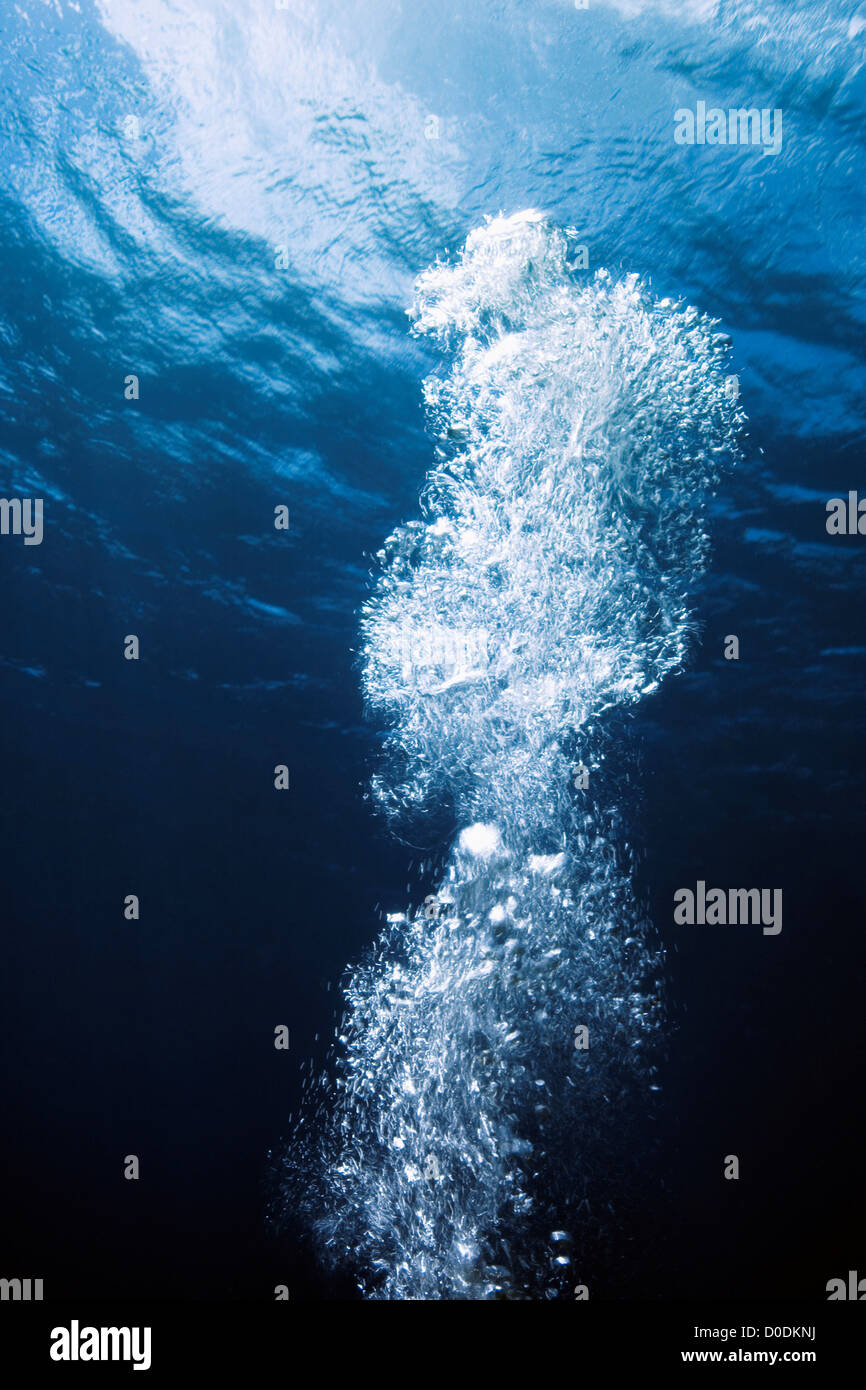 Exhaled Air From a Scuba Diver Bubbles to the Surface Stock Photo Alamy