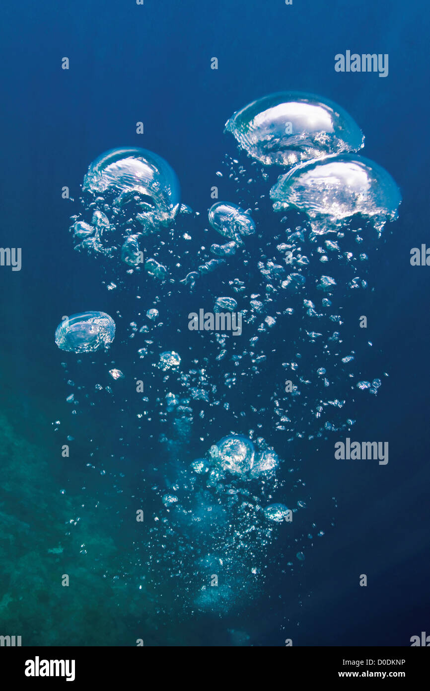 Exhaled Air From a Scuba Diver Bubbles to the Surface Stock Photo Alamy