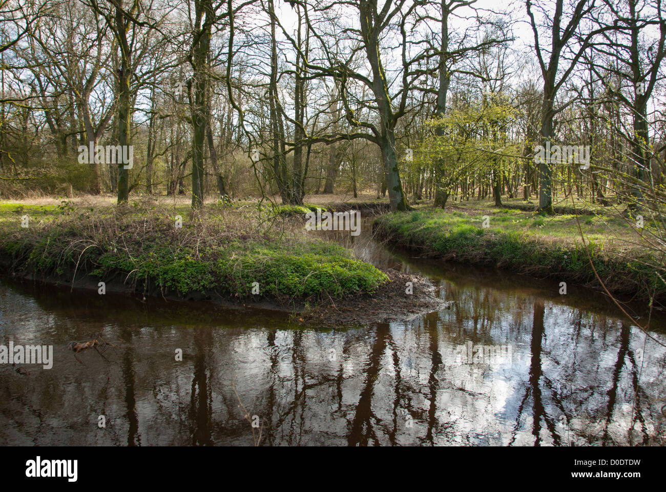 Brook Astense Aa restored to its natural meandering state, the Netherlands Stock Photo