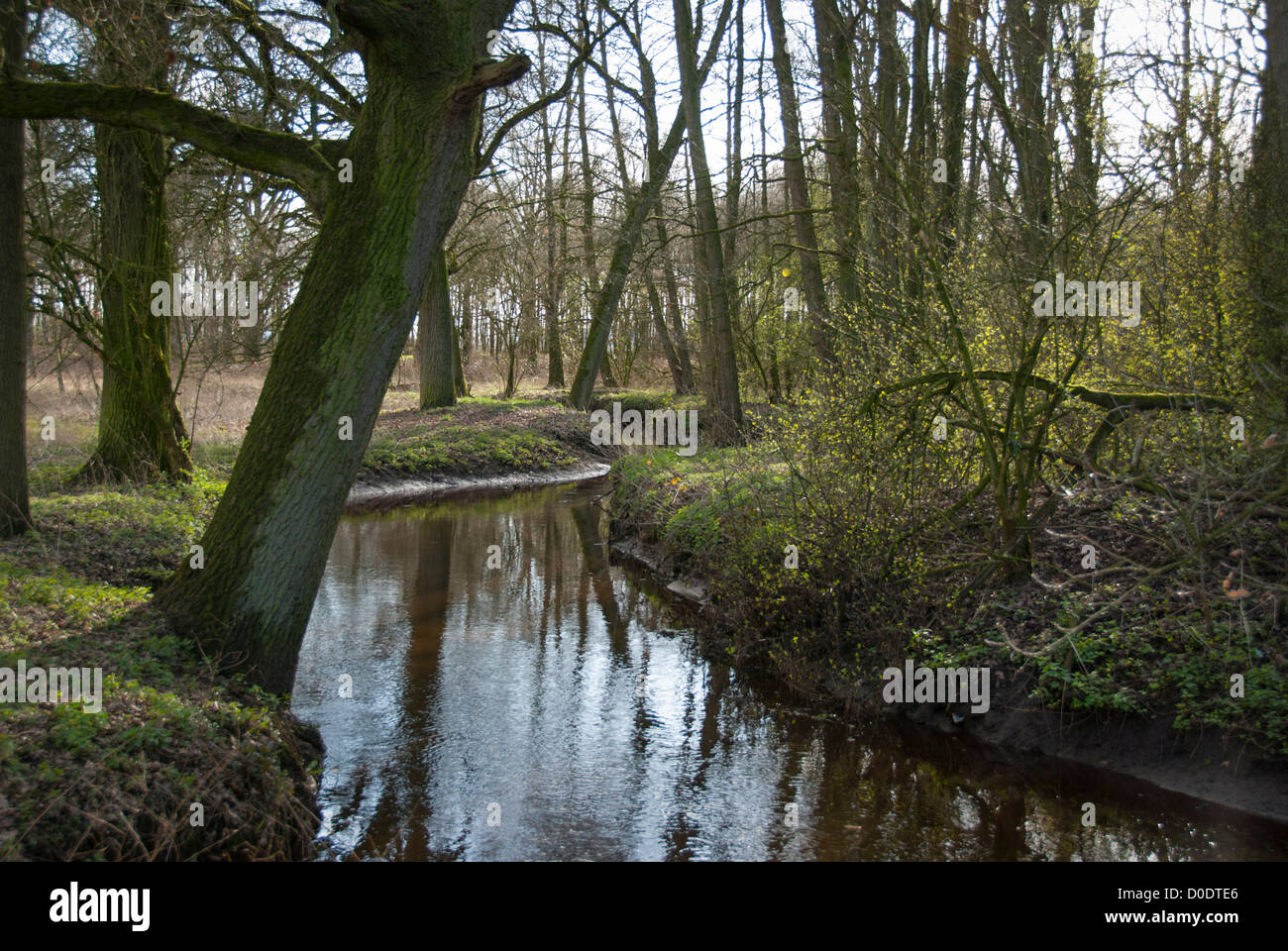 Small river Astense Aa restored to its natural meandering state, the Netherlands Stock Photo