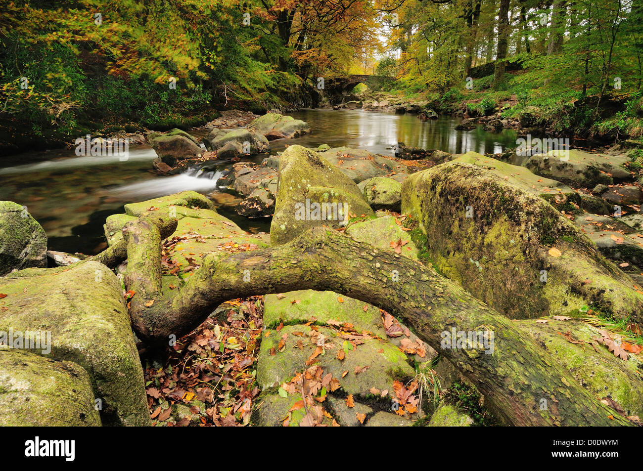 River Esk and Trough House Bridge in autumn, Eskdale, English Lake District Stock Photo
