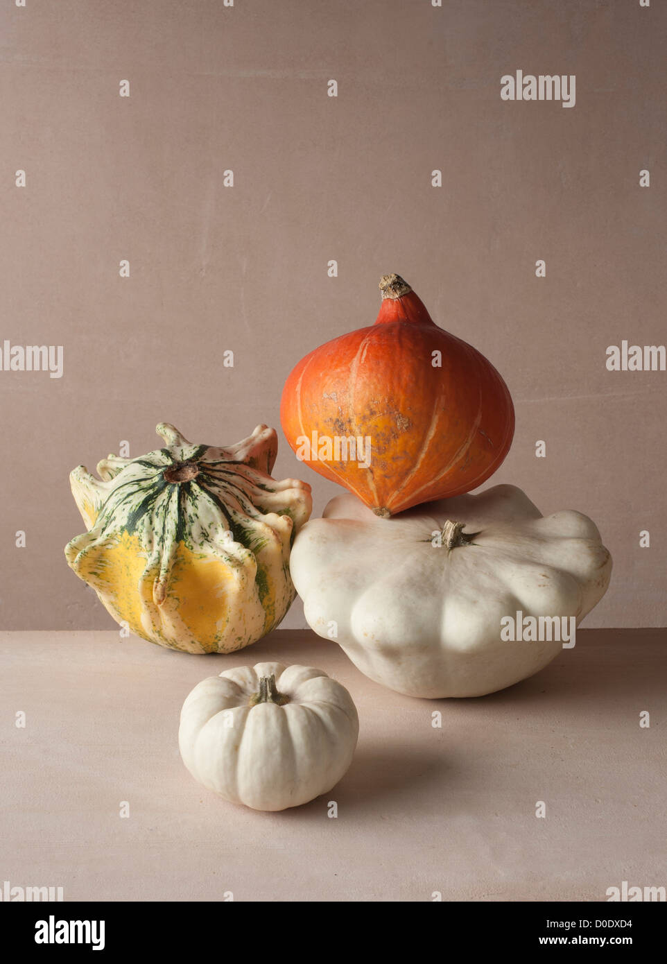 gourds and squash Stock Photo Alamy