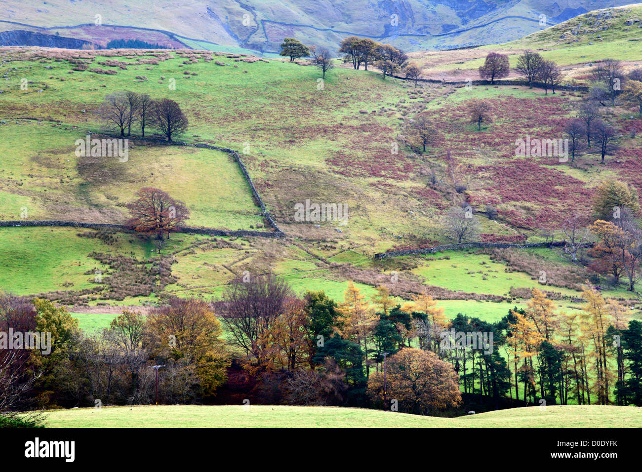Low Rigg in Autumn from Castrigg Stone Circle Keswick The Lake District