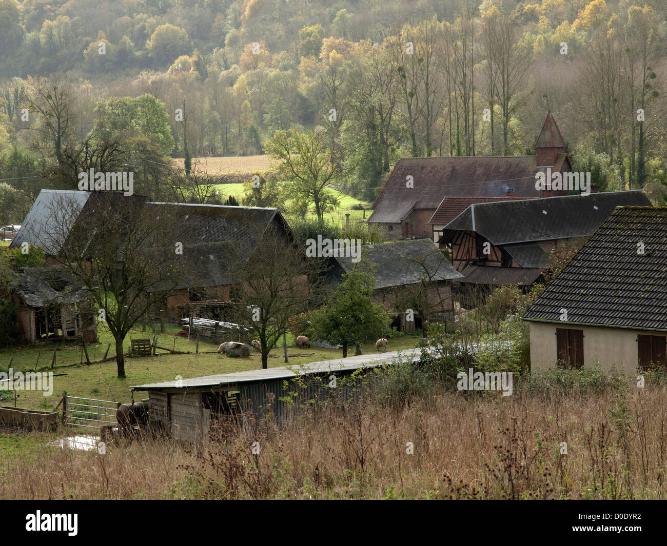 Country living in Normandy,France. Stock Photo