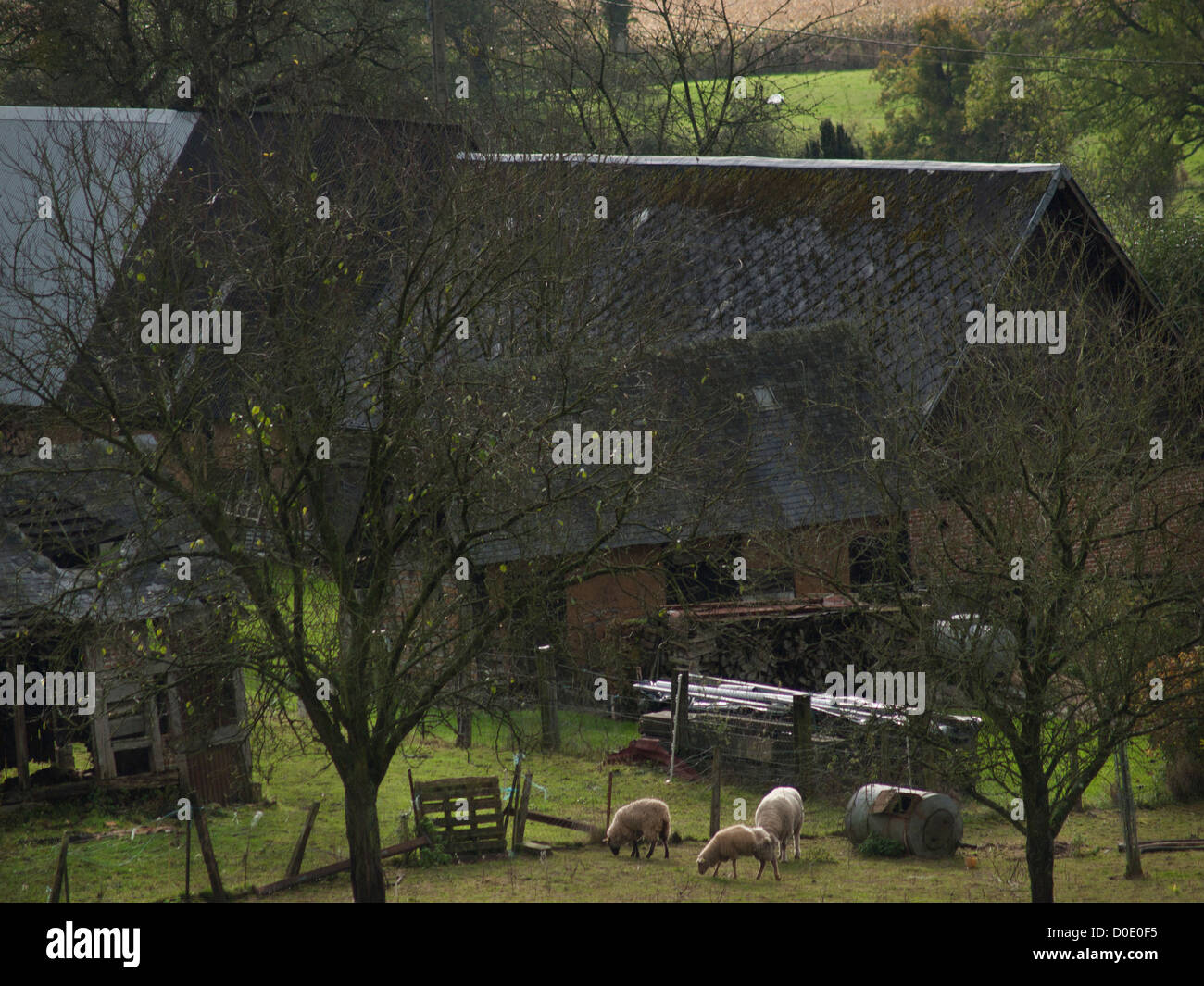 Country living in Normandy,France. Stock Photo