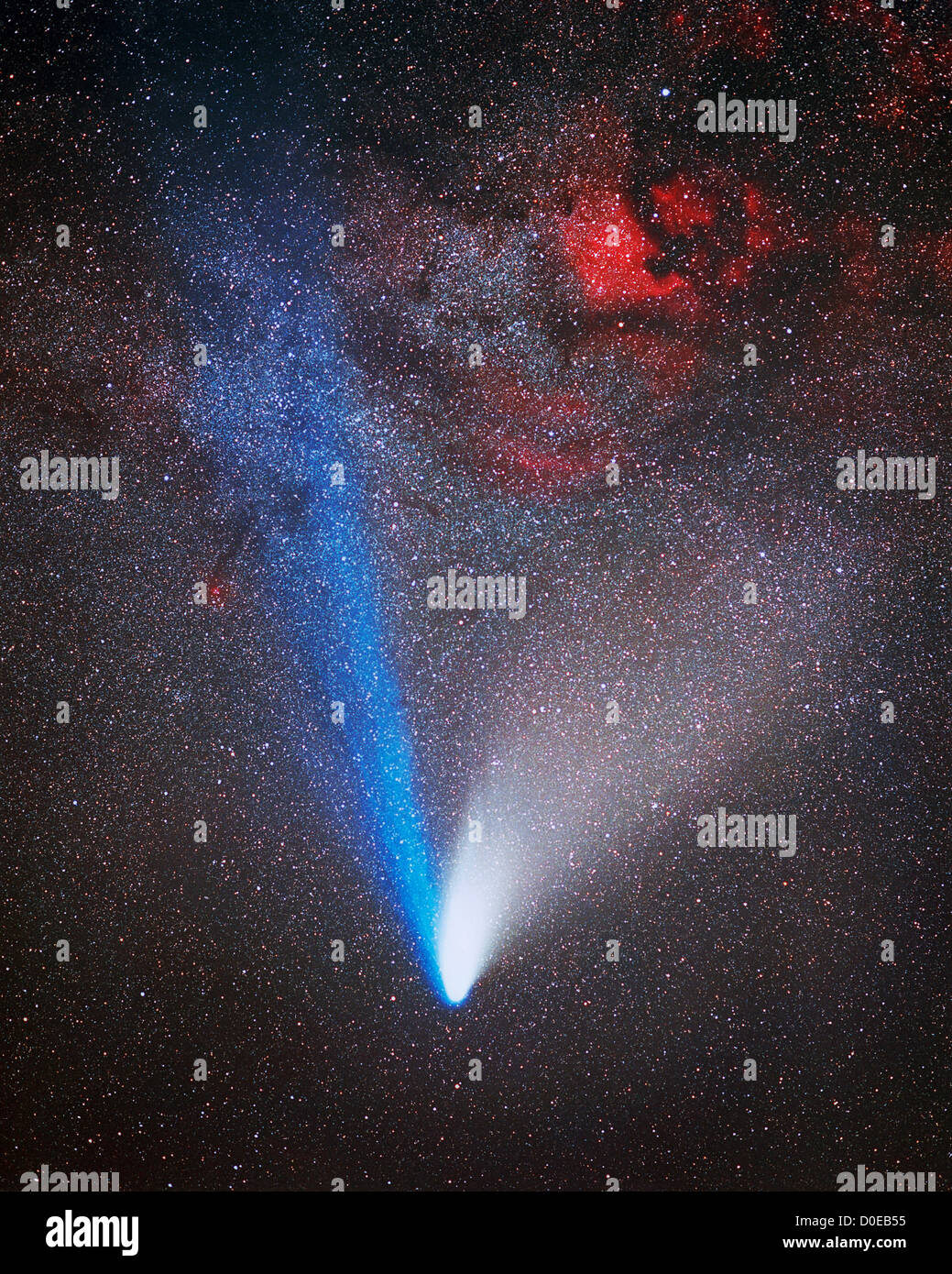 Comet Hale-Bopp and the North America Nebula Stock Photo