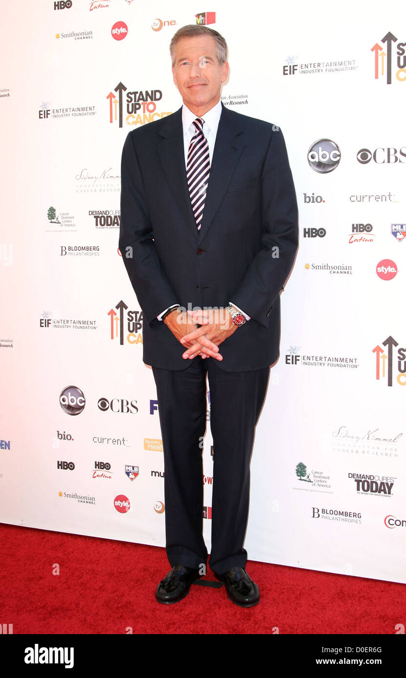 Brian Williams Stand Up To Cancer held at Sony Pictures Studios - Arrivals Los Angeles, California - 10.09.10 Stock Photo