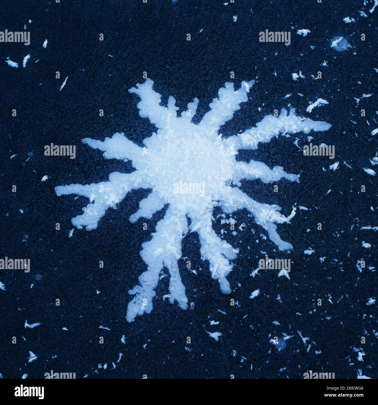 An Amoeba-Like Gas Bubble Frozen in Ice Stock Photo