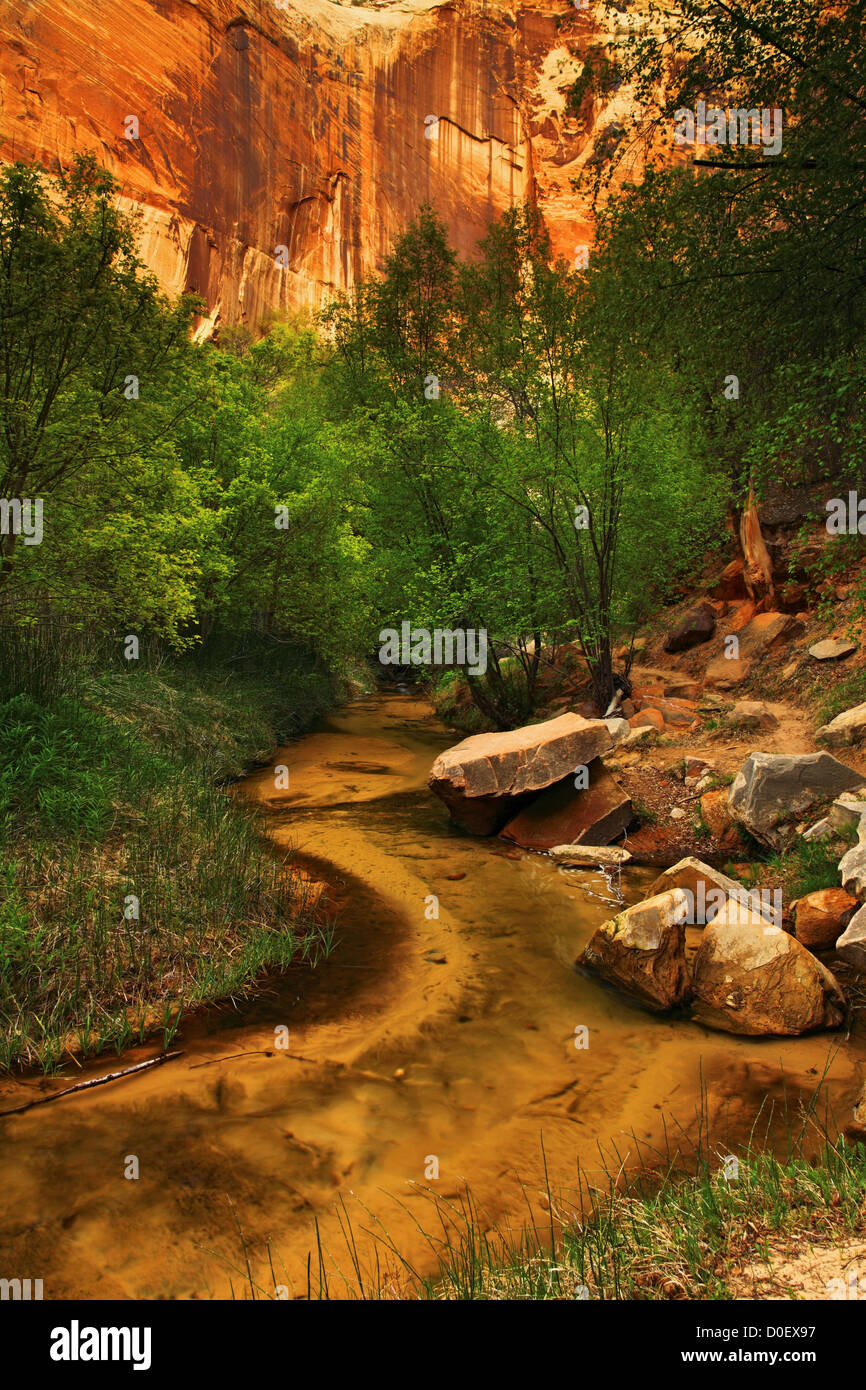Calf Creek and Calf Creek Canyon, in Grand Staircase Escalante