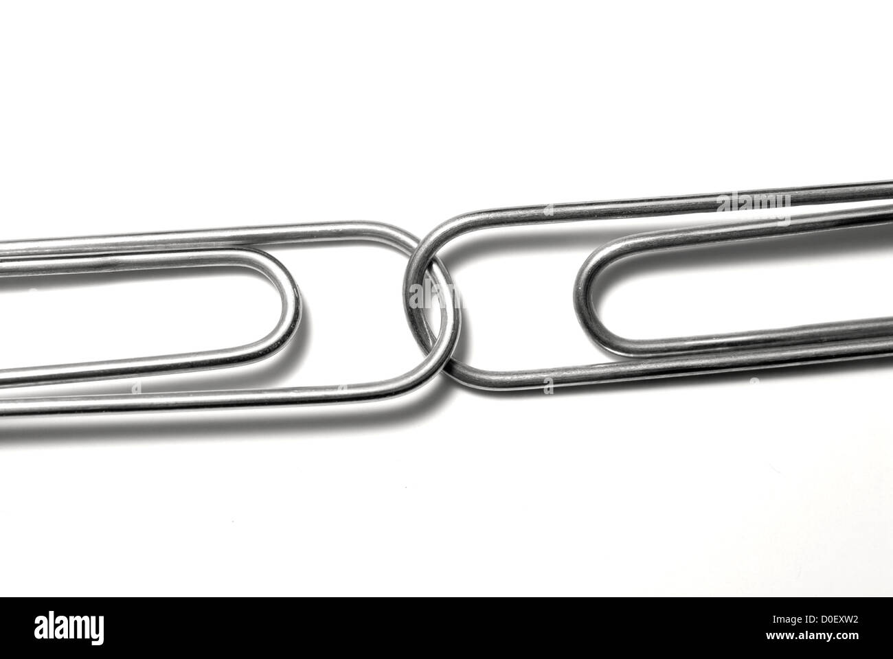 Paper clips attached to represent working together and teamwork Stock Photo