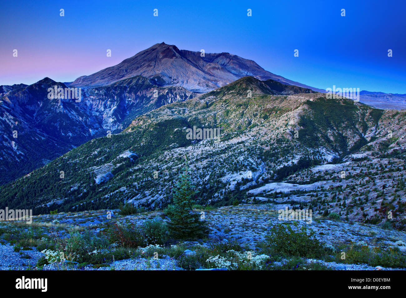 Sunrise over Mount St. Helens, from Windy Ridge, Mount St. Helens ...