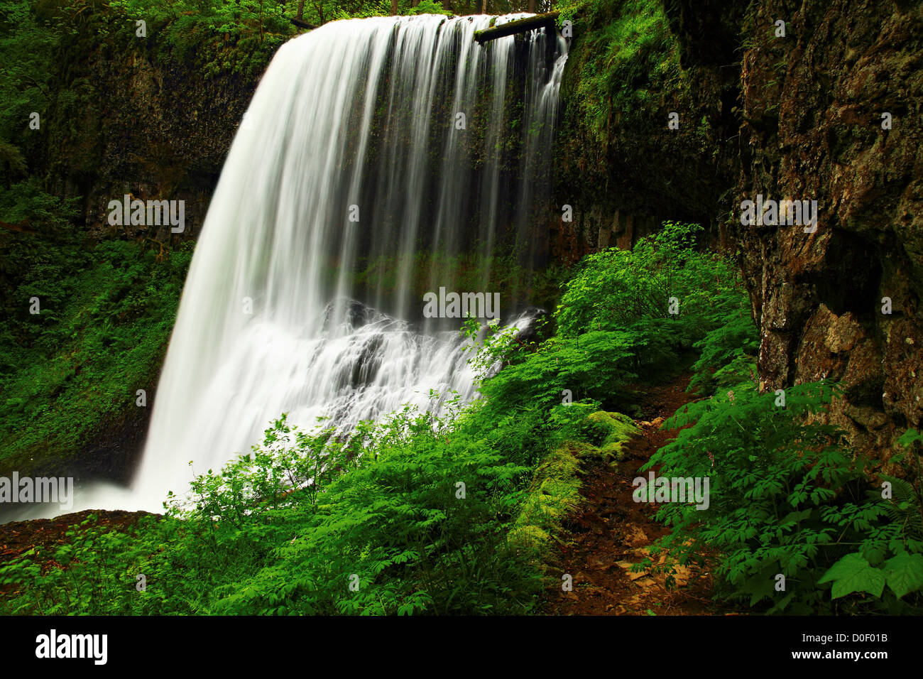 The Middle North Falls, Silver Falls State Park, Oregon Stock Photo Alamy