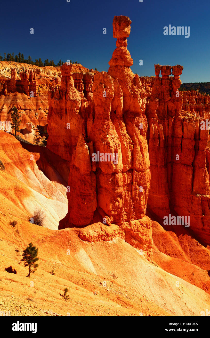 Thor's Hammer, a tall hoodoo and wellknown landmark in Bryce Canyon
