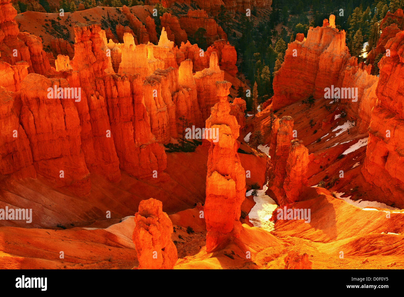 Looking down Thor's Hammer tall hoodoo wellknown landmark in Bryce