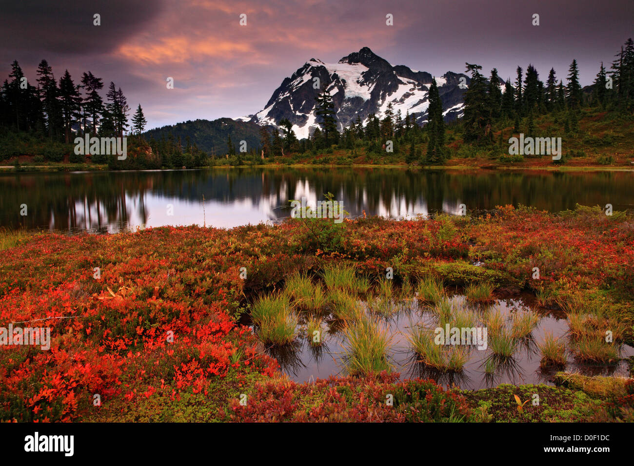 Mount Shuksan at sunset, seem from Picture Lake, Heather Meadows, Mount Baker National Recreation Area. Stock Photo