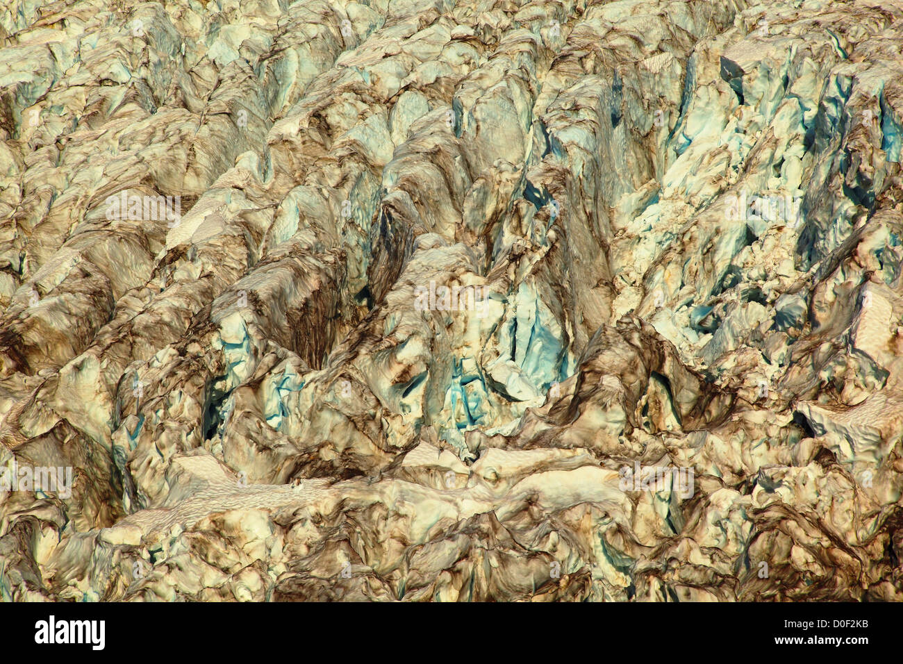 Coleman Glacier from Heliotrope Ridge in the Mount Baker Wilderness ...