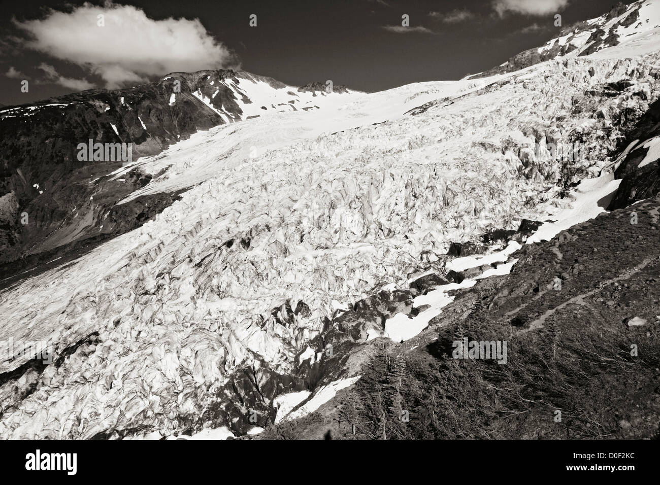 Coleman Glacier from Heliotrope Ridge in the Mount Baker Wilderness ...