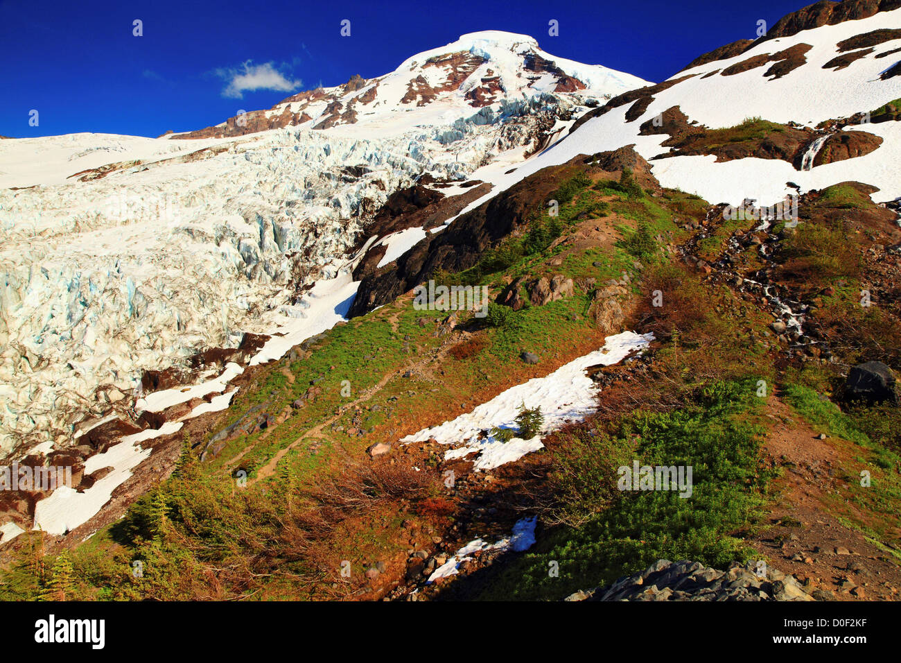 Mount Baker and the Coleman Glacier from Heliotrope Ridge in the Mount ...