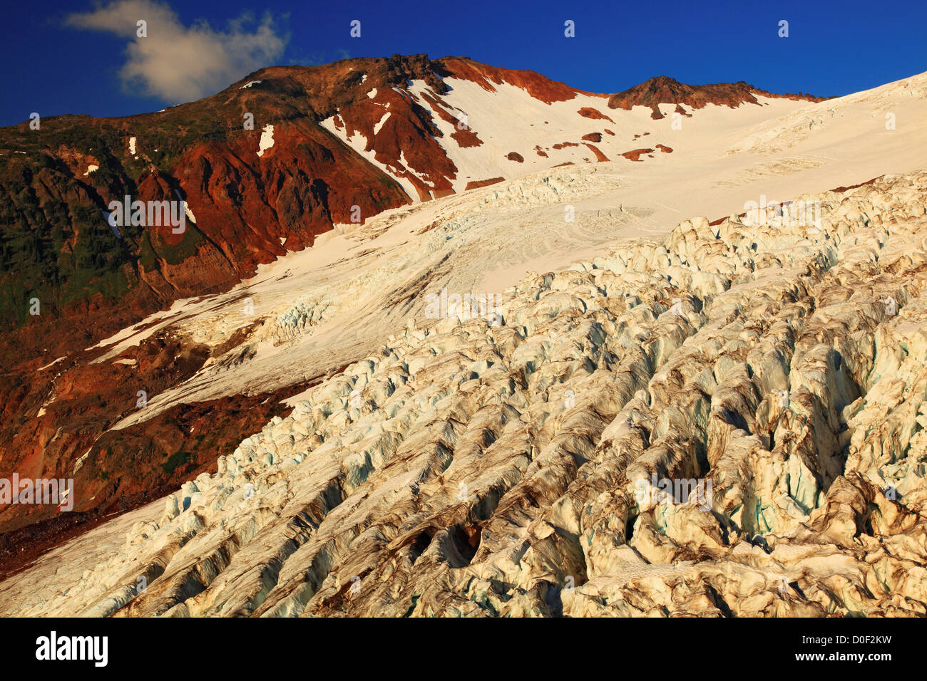 Coleman Glacier from Heliotrope Ridge in the Mount Baker Wilderness ...