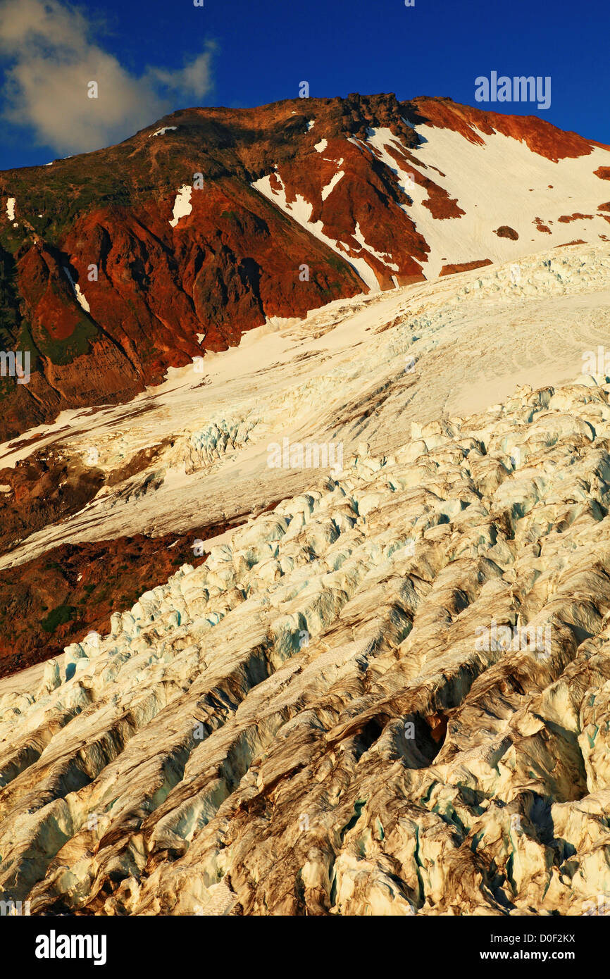 Coleman Glacier from Heliotrope Ridge in the Mount Baker Wilderness ...