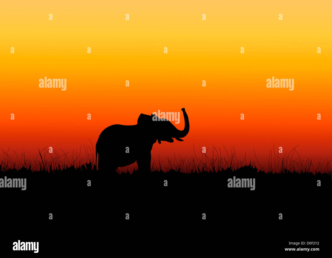 Elephant's black silhouette on the sunset in Africa Stock Photo