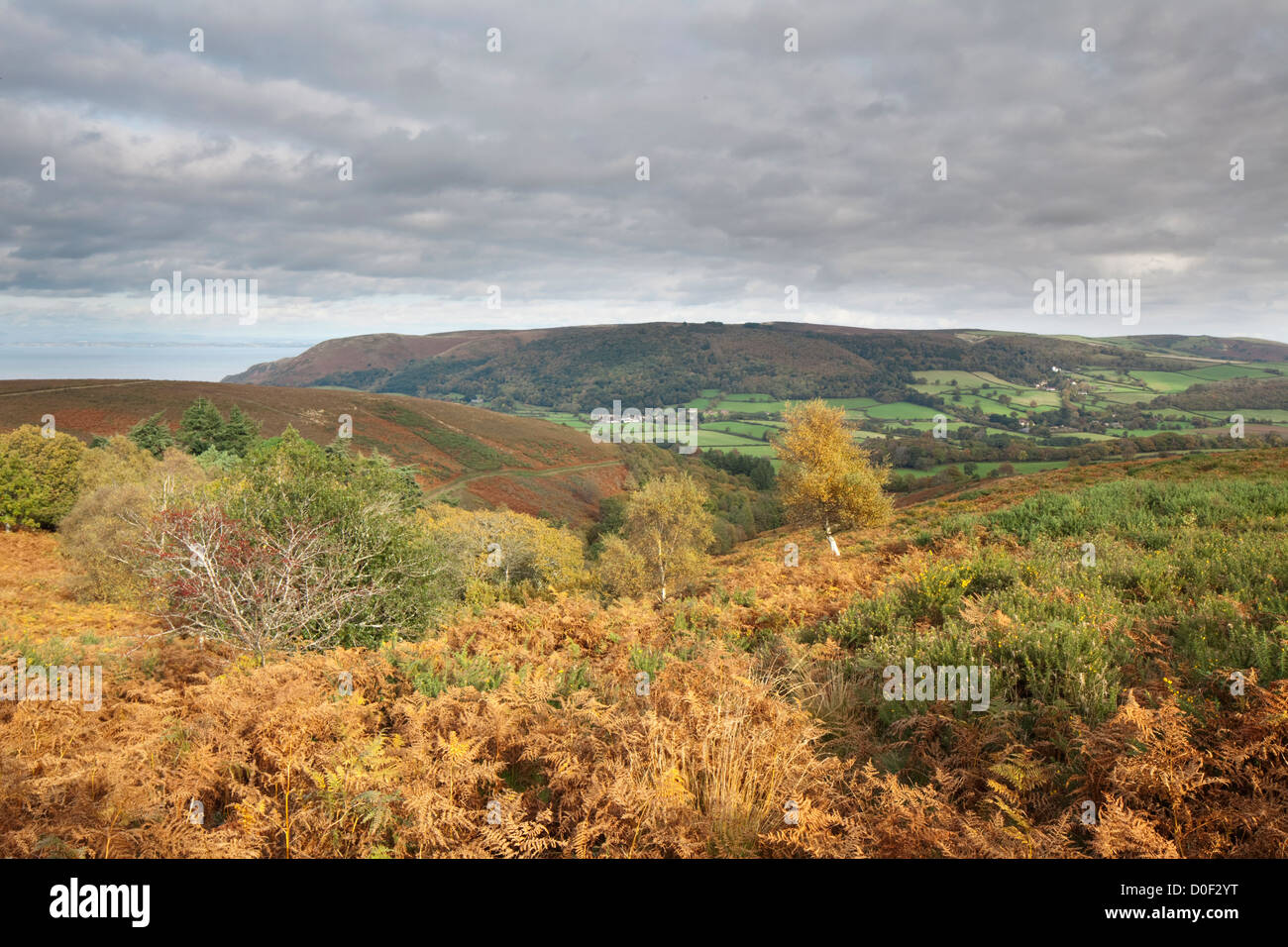Autumn view towards Bossington Hill from Exmoor National Park, England, UK Stock Photo