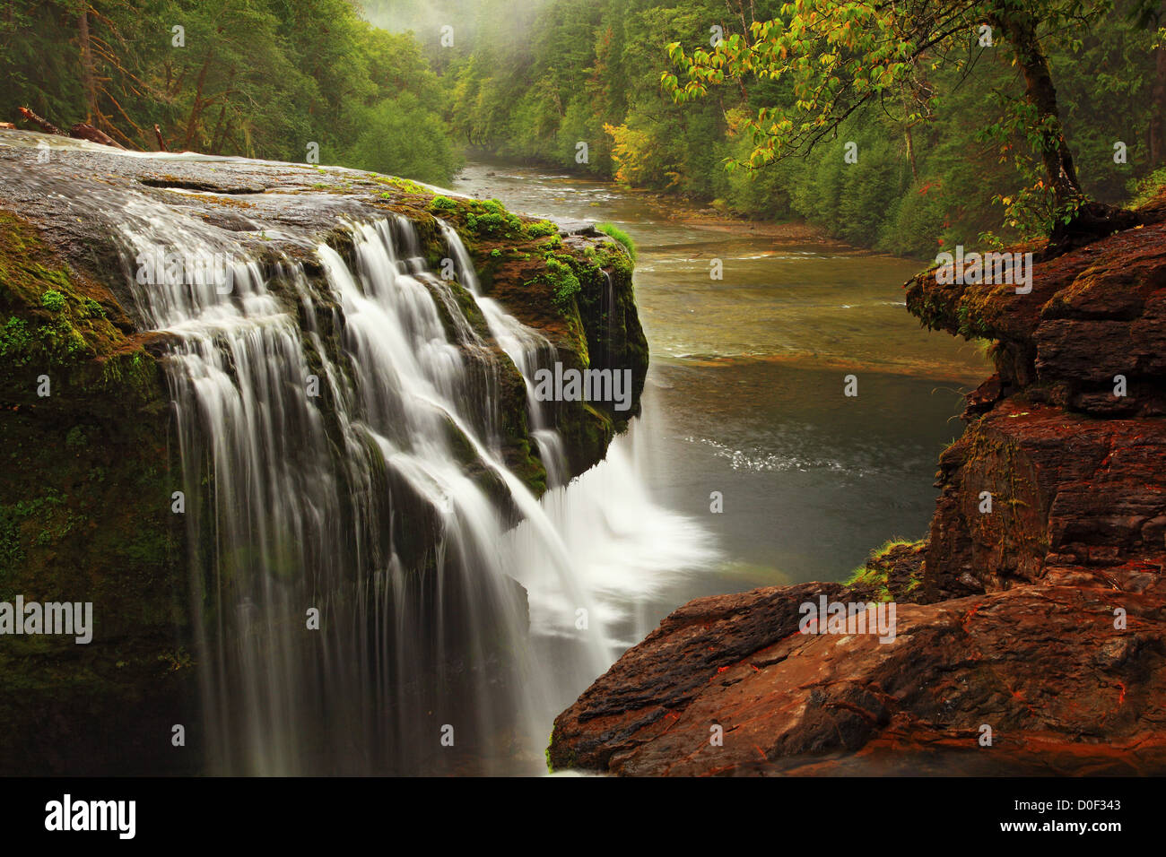 Lower Lewis River Falls in Gifford Pinchot National Forest Stock Photo ...