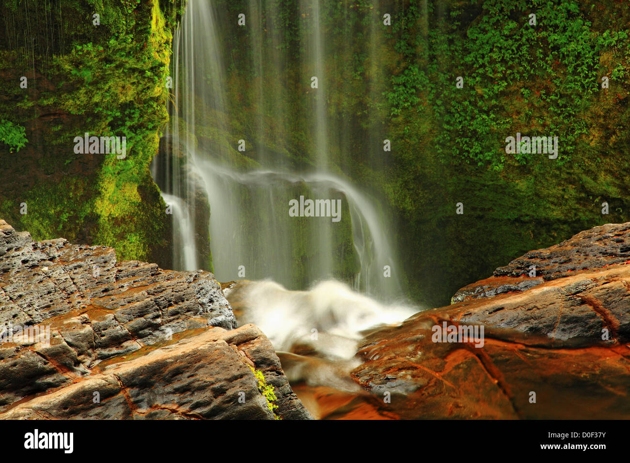 Lower Lewis River Falls in Gifford Pinchot National Forest Stock Photo ...