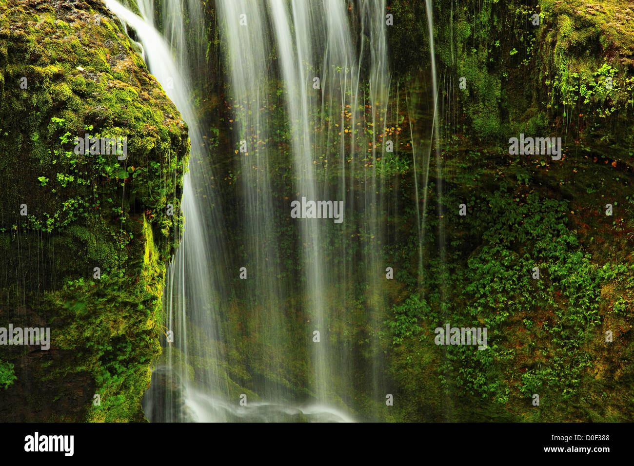 Lower Lewis River Falls in Gifford Pinchot National Forest Stock Photo ...
